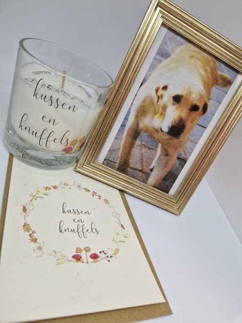 Voorbeeld 5 glas en kaart